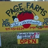 Page Farms Pumpkin Patch photo