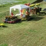 Page Farms Pumpkin Patch photo