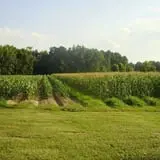 Page Farms Pumpkin Patch photo