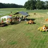 Page Farms Pumpkin Patch photo