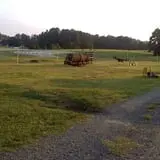 Page Farms Pumpkin Patch photo