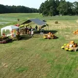 Page Farms Pumpkin Patch photo