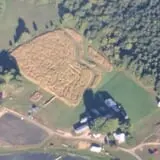 Page Farms Pumpkin Patch photo