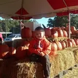 Page Farms Pumpkin Patch photo