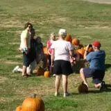 Page Farms Pumpkin Patch photo