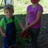 Page Farms Pumpkin Patch photo