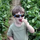 Page Farms Pumpkin Patch photo