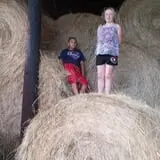 Page Farms Pumpkin Patch photo