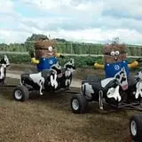 Page Farms Pumpkin Patch photo