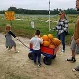Page Farms Pumpkin Patch photo