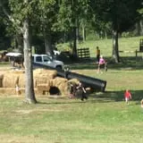 Page Farms Pumpkin Patch photo