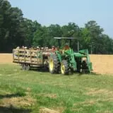 Page Farms Pumpkin Patch photo