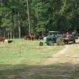 Page Farms Pumpkin Patch photo