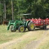 Page Farms Pumpkin Patch photo