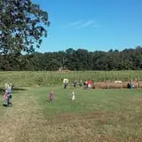 Page Farms Pumpkin Patch photo