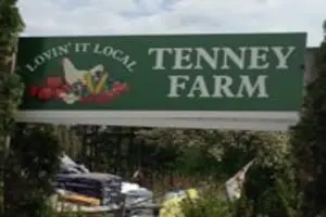 Tenney Farm LLC