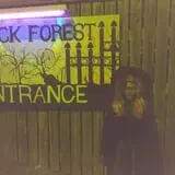 Haunted Castle and Black Forest photo