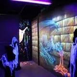Haunted Castle and Black Forest photo