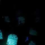 Haunted Castle and Black Forest photo