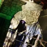 Haunted Castle and Black Forest photo