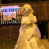 Haunted Castle and Black Forest photo