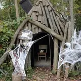 Haunted Castle and Black Forest photo