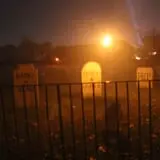 Haunted Castle and Black Forest photo