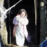 Haunted Castle and Black Forest photo