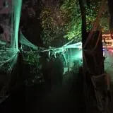 Haunted Castle and Black Forest photo