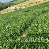 Minard's Family Farm photo