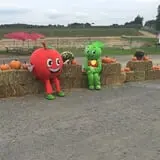 Minard's Family Farm photo