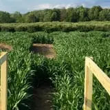 Minard's Family Farm photo
