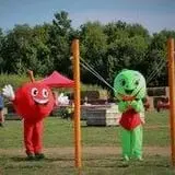Minard's Family Farm photo