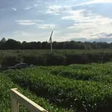 Minard's Family Farm photo