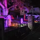 Night of the Livingston Dead & Carnevil photo