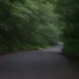 Sweet Hollow Road photo