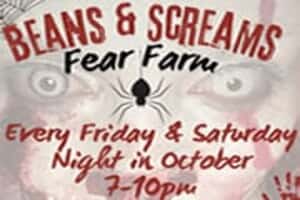 Beans and Screams Fear Farm Walk