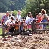 George Hill Orchards Pumpkin Picking & Hayride photo