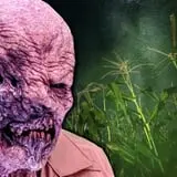 Haunted Hills Estate Scream Park photo