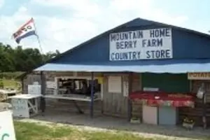 Mountain Home Berry Farm Fall Festival