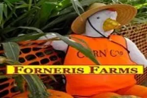 Forneris Farms Fall Harvest Festival