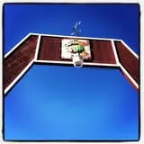 Odyssey Fun Farm photo