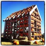 Odyssey Fun Farm photo