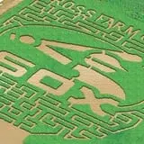 Odyssey Fun Farm photo