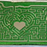Odyssey Fun Farm photo
