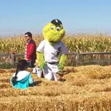 Odyssey Fun Farm photo