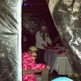 Hopeless Hollow Haunted Trail photo
