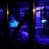 Hopeless Hollow Haunted Trail photo