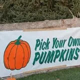 Harvest Hills Farms photo