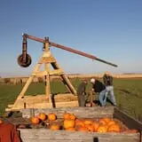 Harvest Hills Farms photo